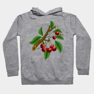 Cherry Branch Hoodie